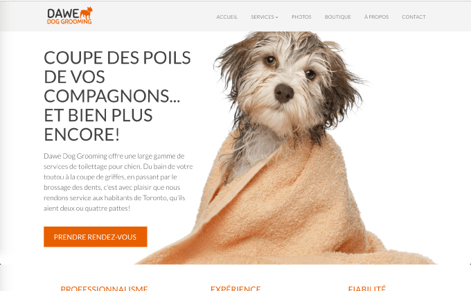 Cliquez pour une démo d'un site Web  10.0 de toilettage de chiens.